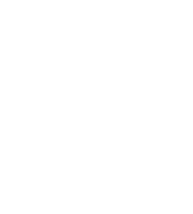 Banner-Icon