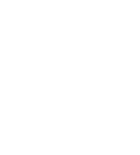 Banner-Icon