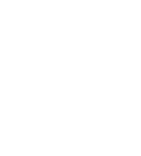 Banner-Icon